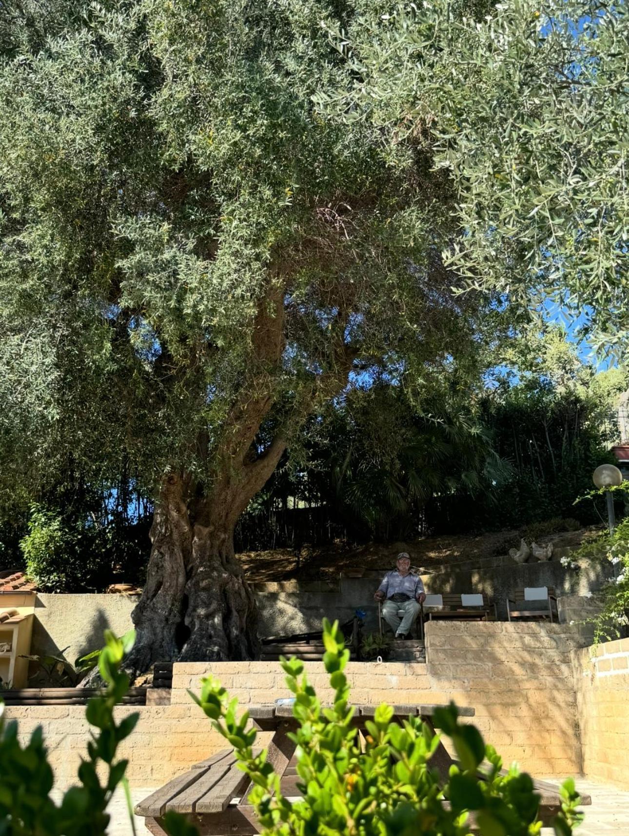 אפרטהוטל סקרלינו Madonna Del Poggio Cav מראה חיצוני תמונה